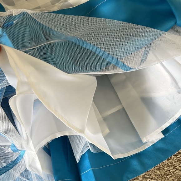 NWT Alice in Wonderland Costume - Picture 6 of 6